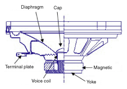 G11934535