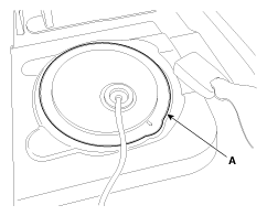 G11955664