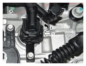 G11955840