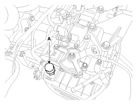 G11955989