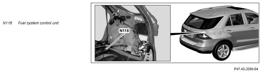 G11975559