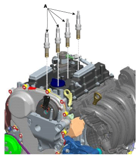 G11995261