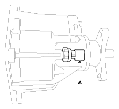 G12055895