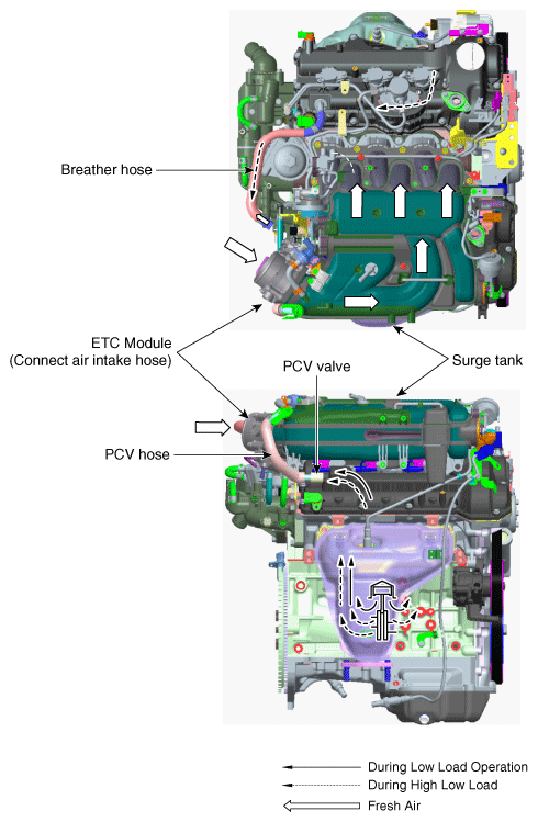 G12088405