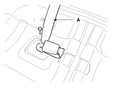 G12091494