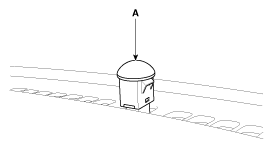 G12126566