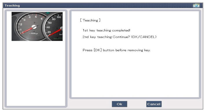 G12126593