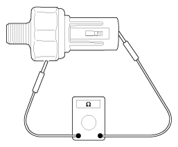 G12129196