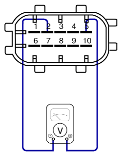 G12145875