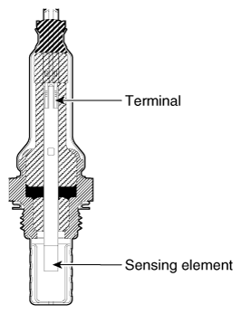 G12161384