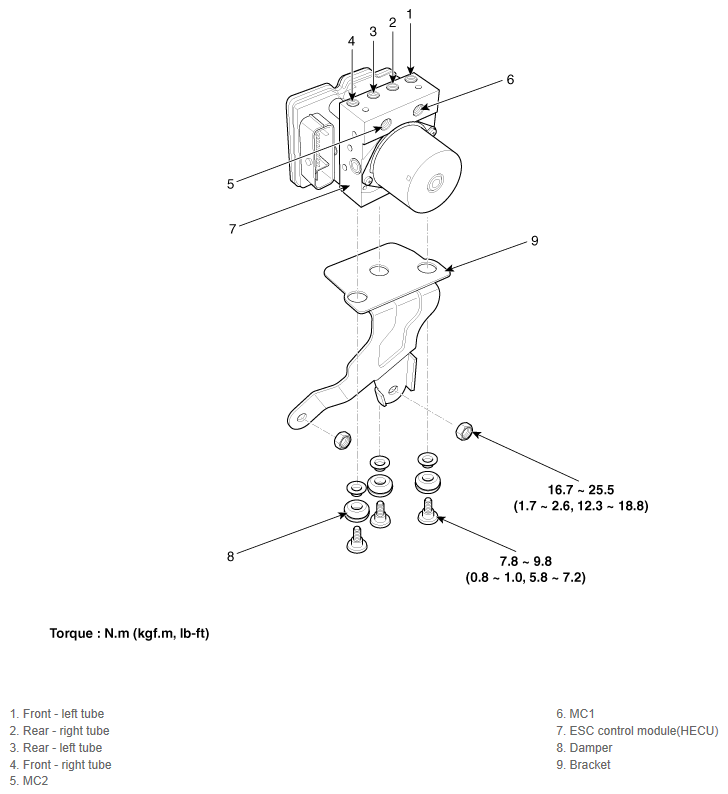 G12163884