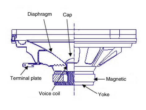 G12164497