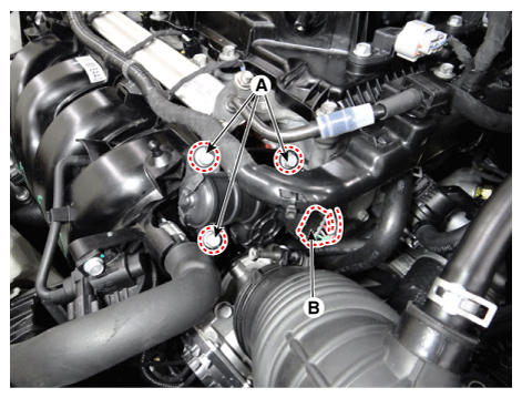 G12165673