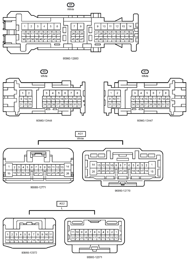 G12204373