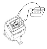 G12229650