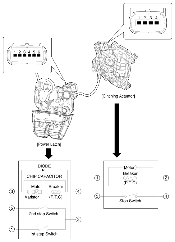 G12298828