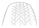 G12349729