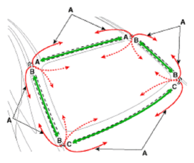 G12597367