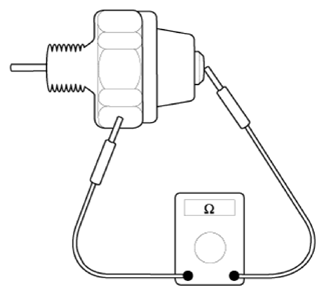 G12695778
