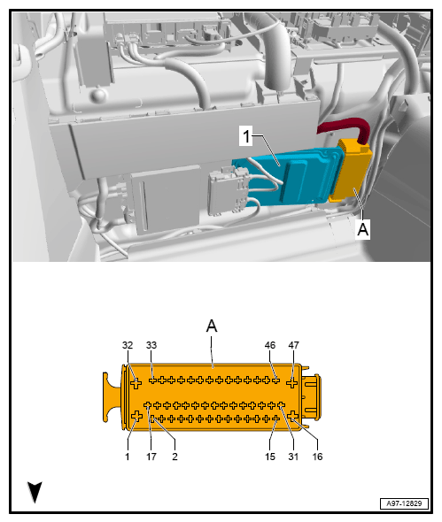 G12778096