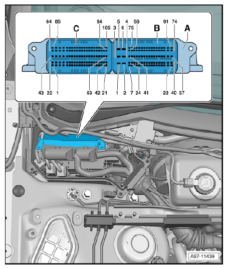 G12779054