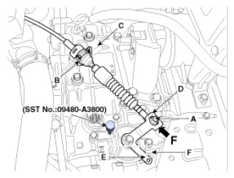G12793558