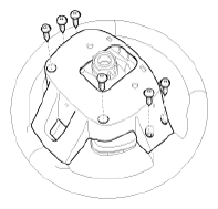 G12826029