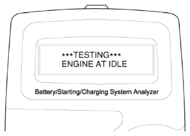 G12826564