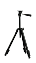 G12848282