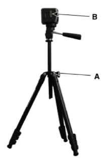 G12915115
