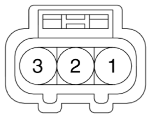 G12915394