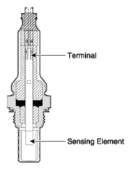 G12977082