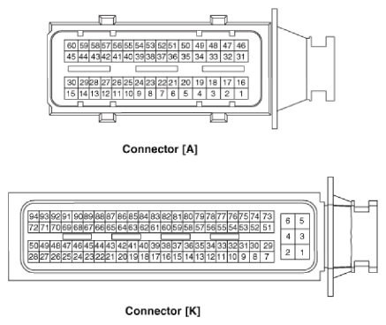 G13015546