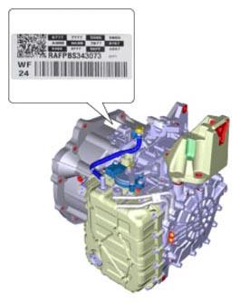 G13035242