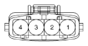 G13036884