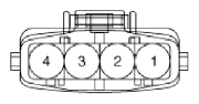 G13036886