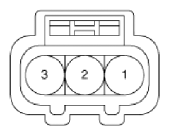 G13036892
