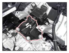 G13037154