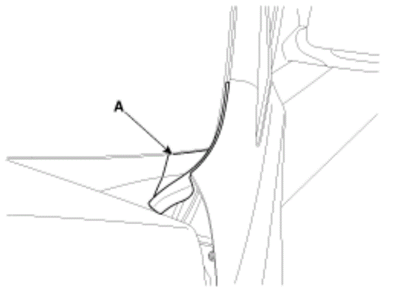 G13045722