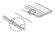 G13055394