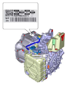 G13055761