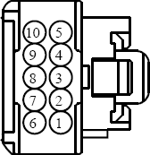 G13117135