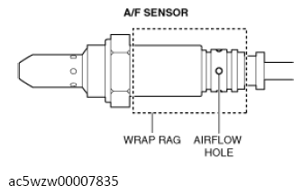 G13119131