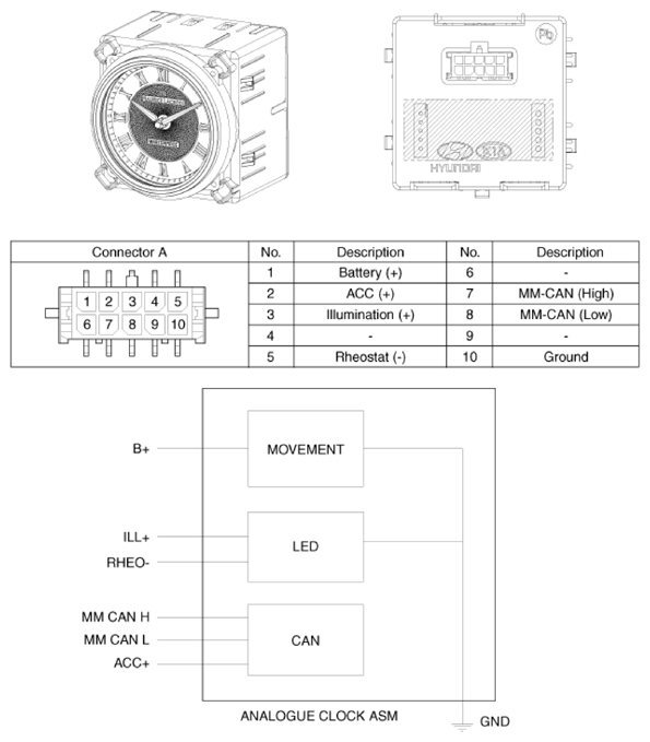 G13128613