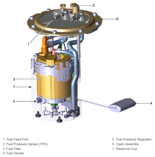 G13143527