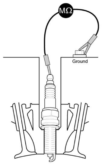G13155569