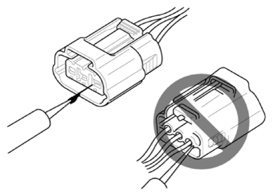 G13155663