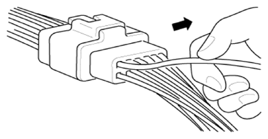 G13155664