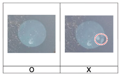 G13158639