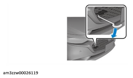 G13173478